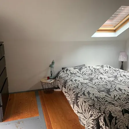 別荘 Charmante Maison De Surfeur *